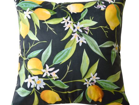 Lemons Velvet Square Cushion 43x 43cm by Bianca Hot on Sale