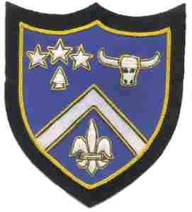 224th Infantry Regiment Custom made Cloth Patch Cheap