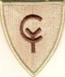 38th Infantry Division Desert Patch Discount