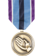 Humanitarian Service Full Size Medal Hot on Sale