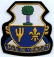 163rd Infantry Regiment Custom made Cloth Patch For Sale