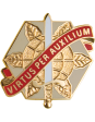 24th Support Group Unit Crest Supply