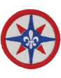 316th Sustainment Command patch Online