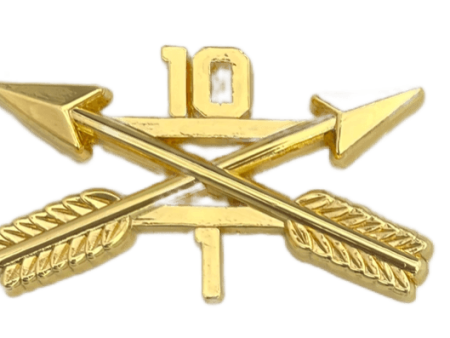 10-1 Special Forces Officer Regimental Branch Of Service Insignia Badge For Cheap