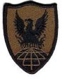 311th Signal Command Subdued patch Online now