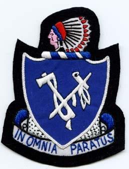 179th Infantry Regiment, Custom made Cloth Patch For Discount