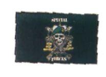 Special Forces Flag 3  x 5  Poylester Sale