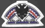 171st Infantry Brigade Custom made Cloth Patch Online Sale