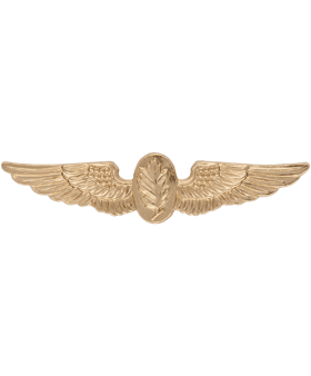 Navy Aviation Experimental Psychologist badge on Sale