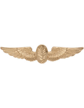 Navy Aviation Experimental Psychologist badge on Sale