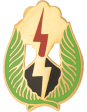 25th Infantry Division Unit Crest Online