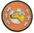 2nd Signal Company Custom made Cloth Patch For Sale