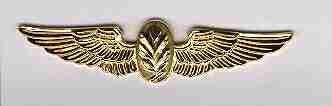 Navy Aviation Experimental Psychologist badge on Sale