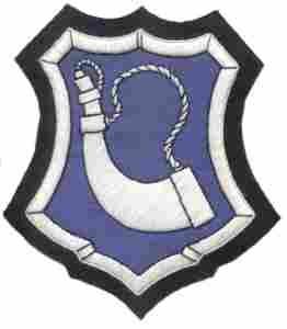 181st Infantry Regiment Custom made Cloth Patch For Cheap