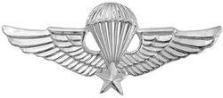 Vietnam Parachute Basic Wing Fashion