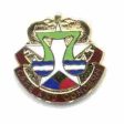 US Army MEDDAC Fort Hood Unit Crest Online Sale